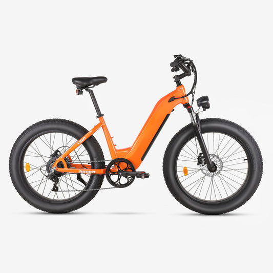 Wkdog Jumper ebike 52V 15.6Ah